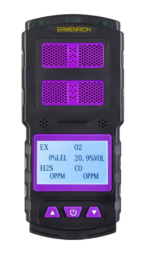 gráfico Detector de gas Ermenrich NG60, imagen 4